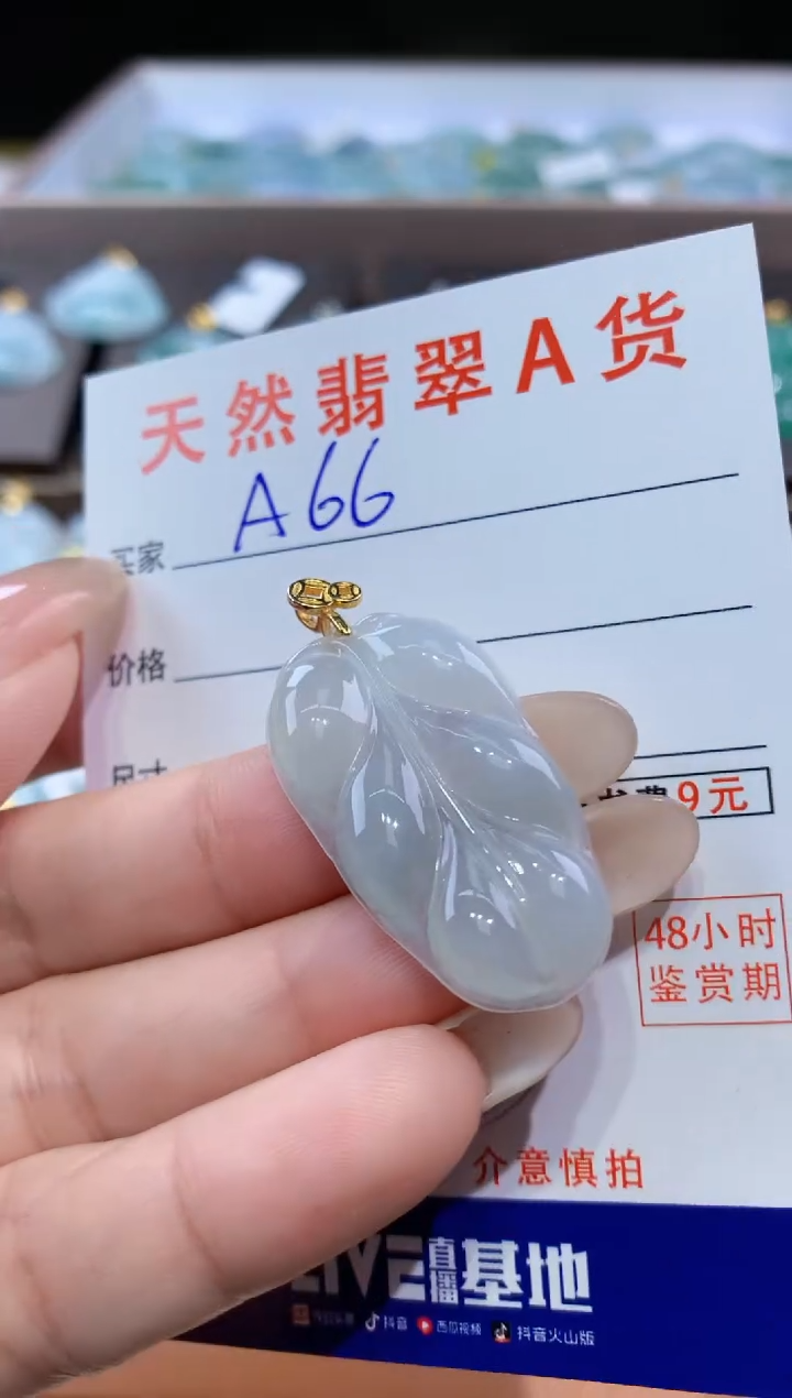 颈饰未镶嵌翡翠天然翡翠A货挂件