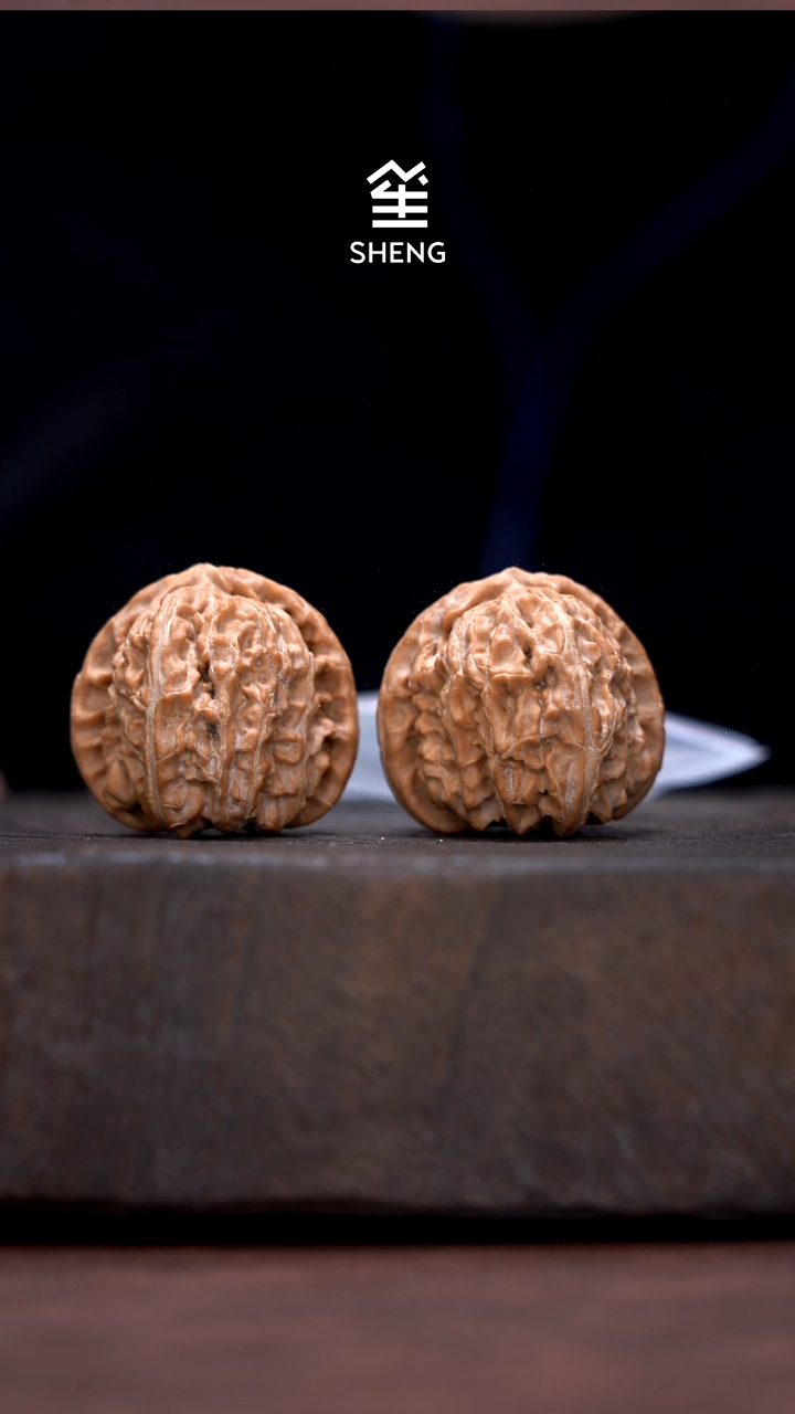 把件文玩核桃40白狮子15144