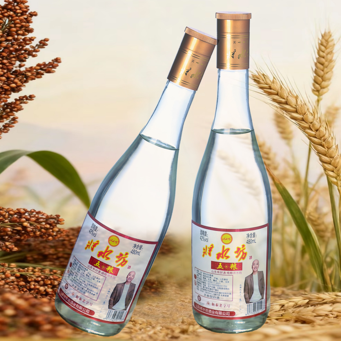 将水坊山东大集42度将水坊五粮纯粮480ml*6瓶42度480