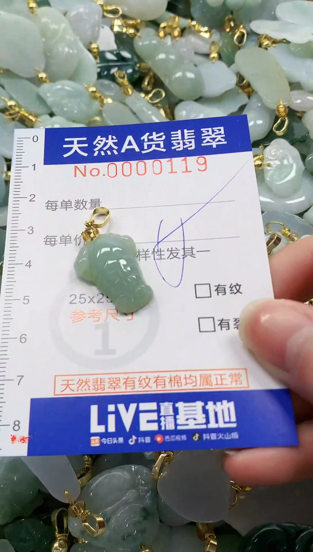 颈饰未镶嵌翡翠纯天然a货翡翠