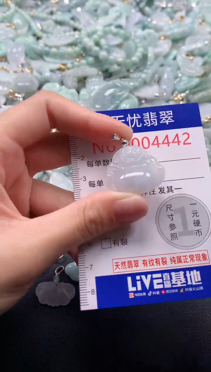 颈饰未镶嵌翡翠4442