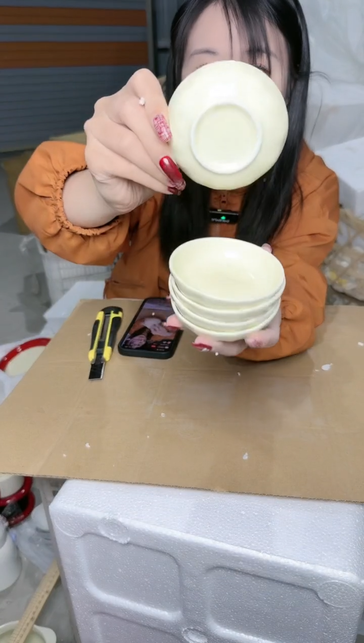 【闪购商品】瓷片好看的陶瓷餐具10