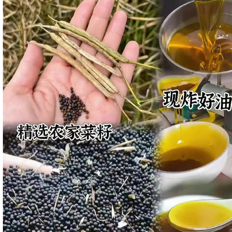 马海亚农家土榨菜籽油 传统工艺 无添加 