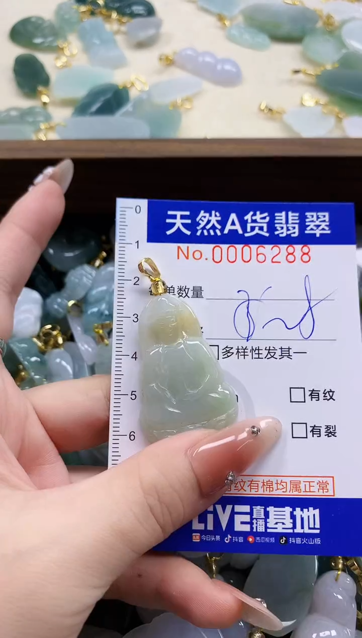 颈饰未镶嵌翡翠天然A货翡翠