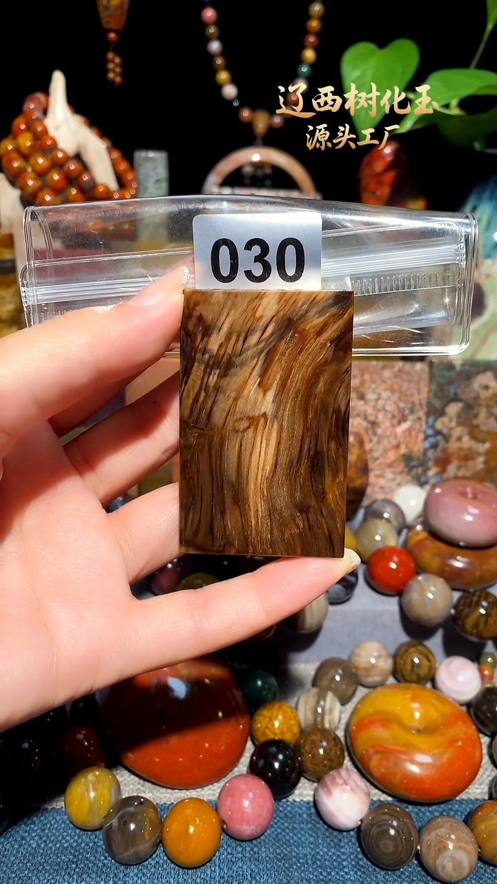 未镶嵌-硅化玉天然北票硅化玉吊坠