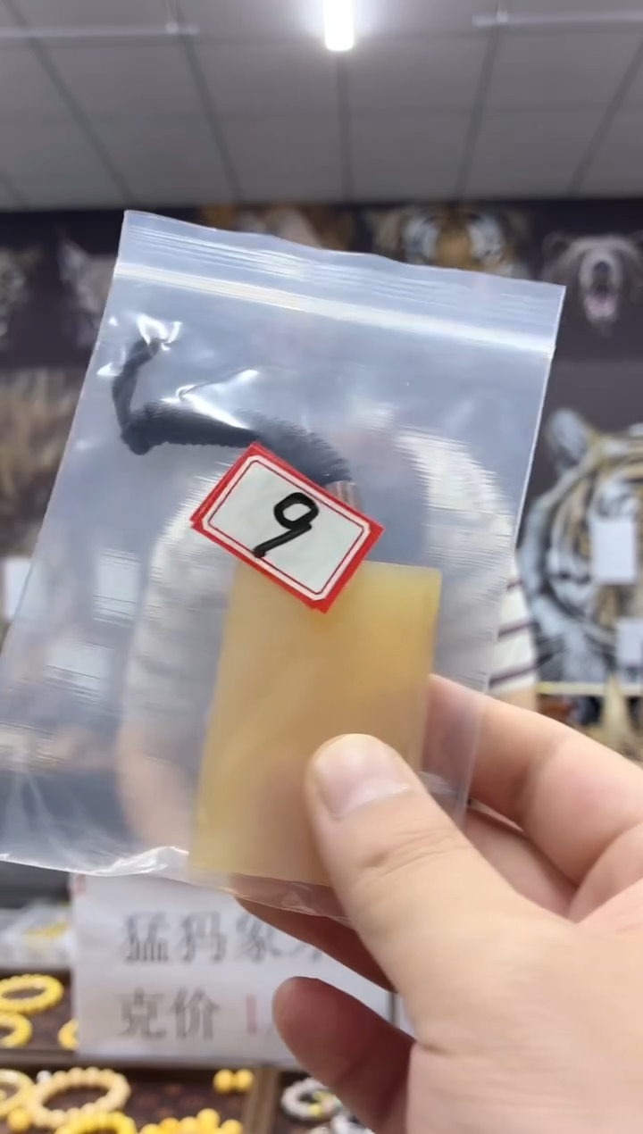猛犸---------------09