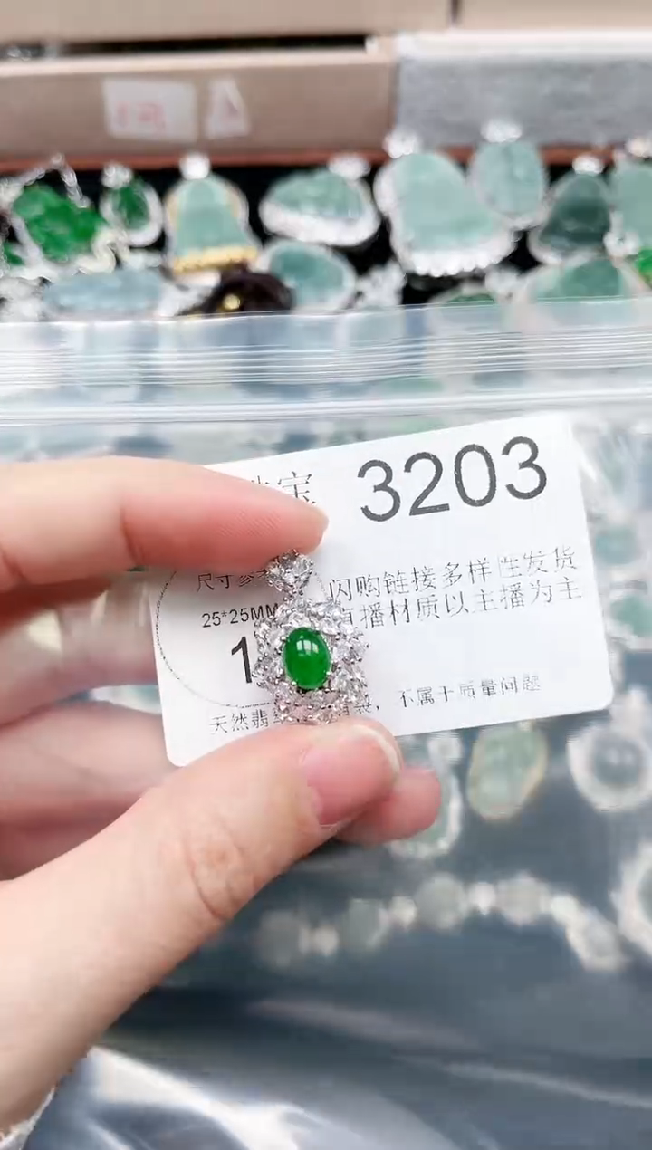 【闪购商品】翡翠颈饰未镶嵌赠皮绳3203