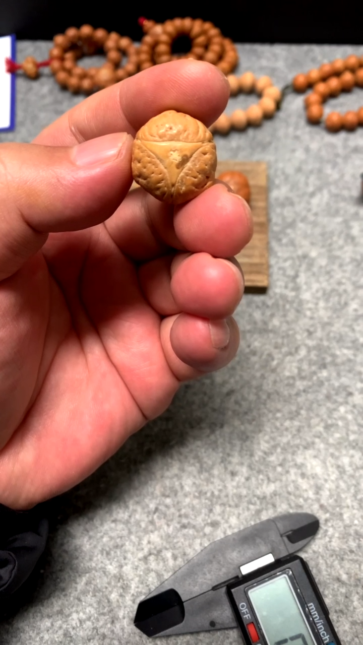 吊坠凤眼菩提19+二茬龙非实心