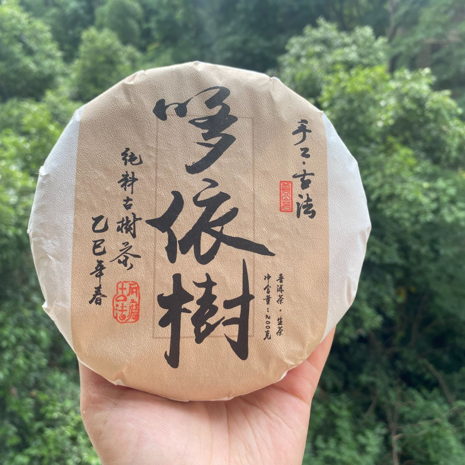 【多依树古树】头春 200g普洱生饼 珍品2025