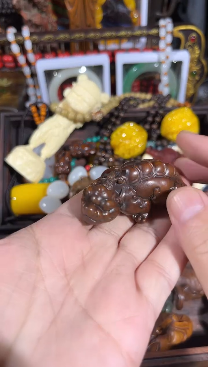 【闪购商品】黄杨木11111111111111111111