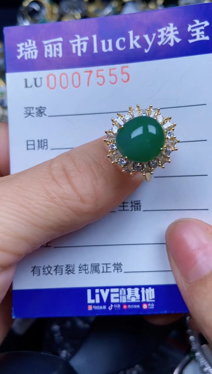 【闪购商品】翡翠颈饰银S925镶嵌7555