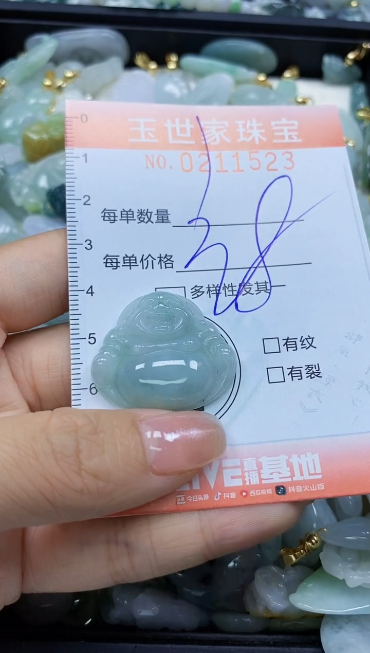 【闪购商品】翡翠颈饰未镶嵌闪购0211523