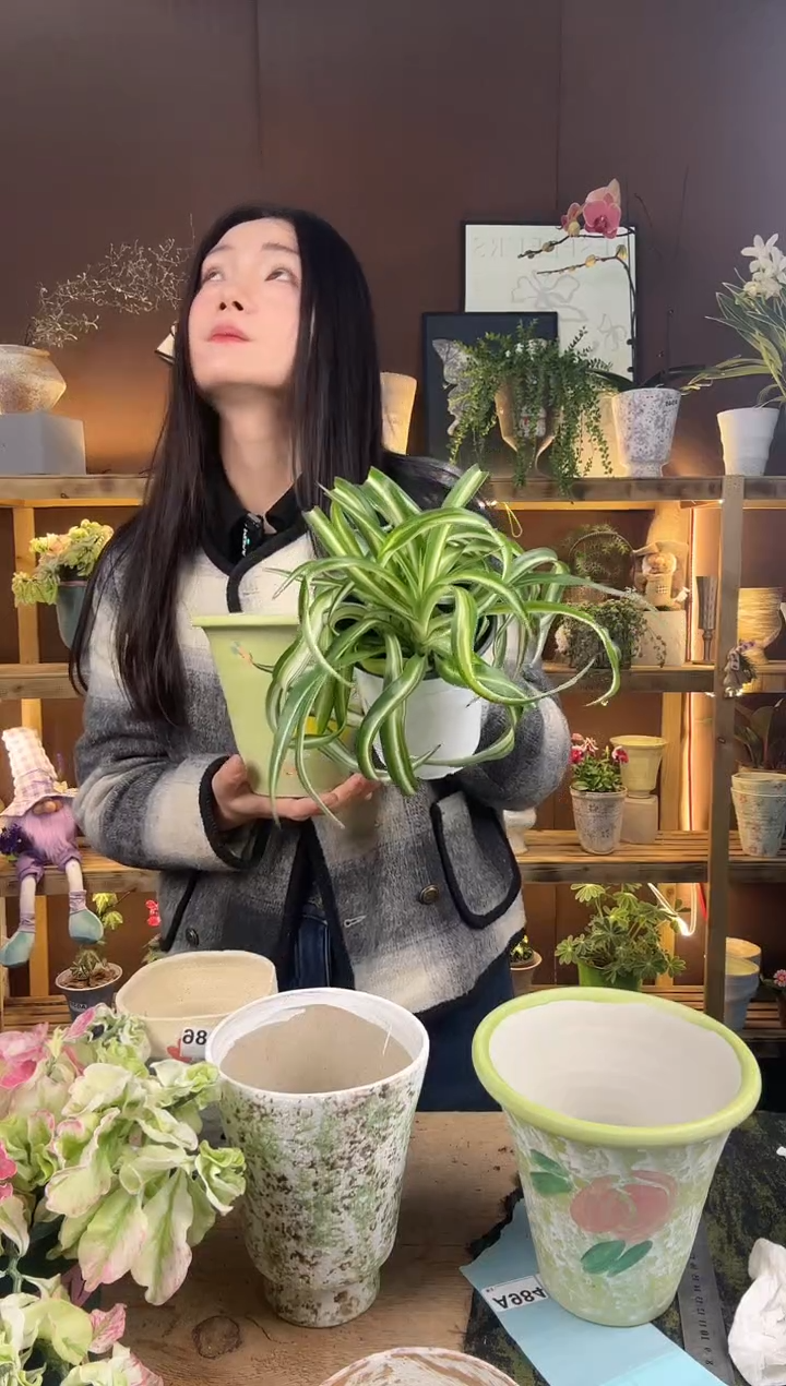 以实际为准不***?卷发女郎育苗盆997