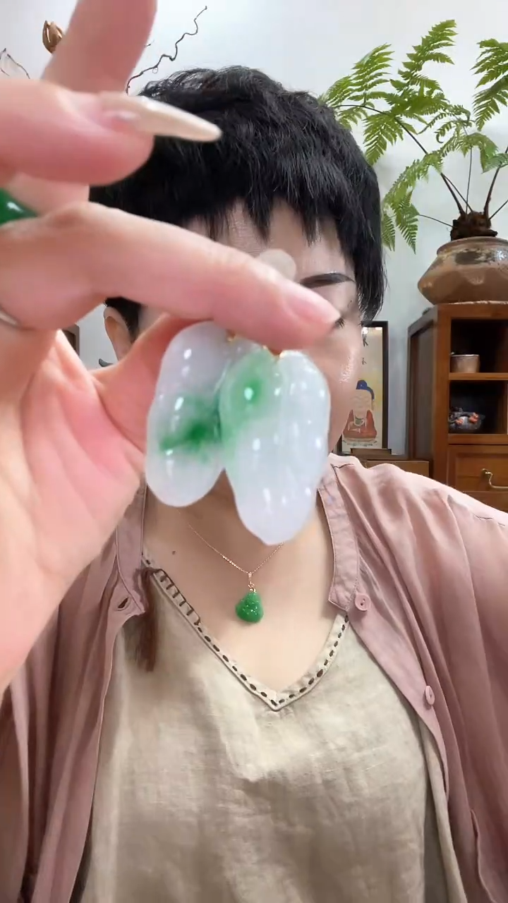 翡翠未镶嵌颈饰284