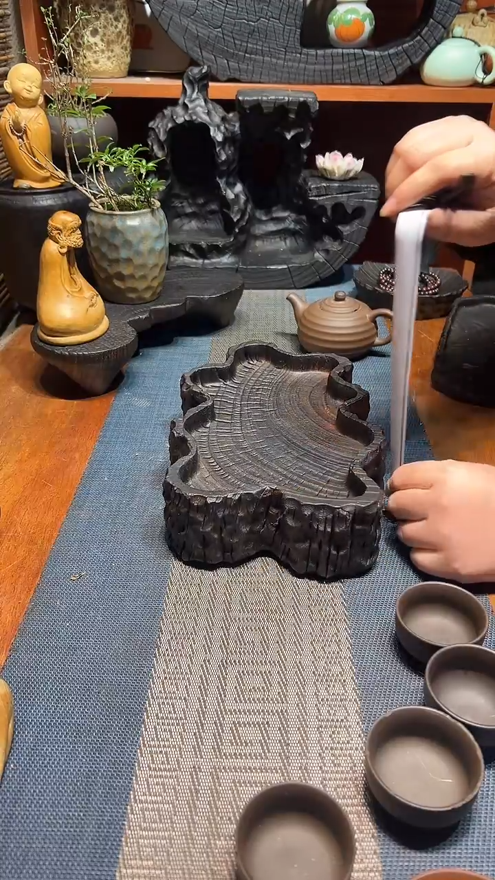 香樟木香樟木一物一拍