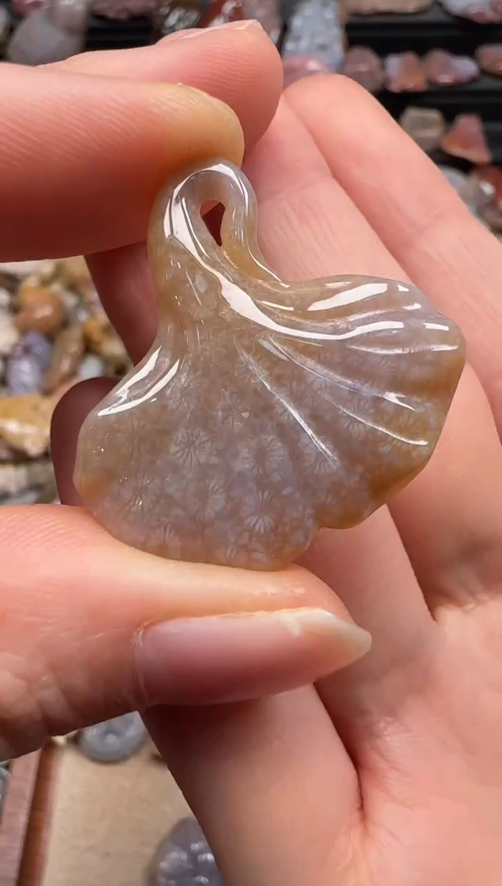 【闪购商品】硅化珊瑚（珊瑚玉）颈饰未镶嵌288