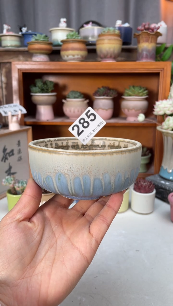 瓷片285小芳直播编号