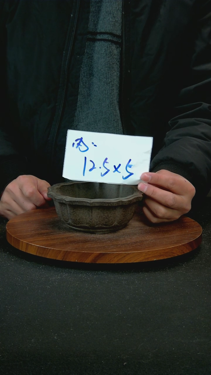 【闪购商品】紫砂J72