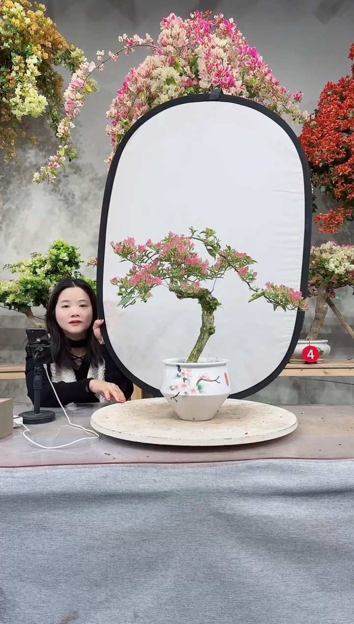【闪购商品】盆景粉水晶