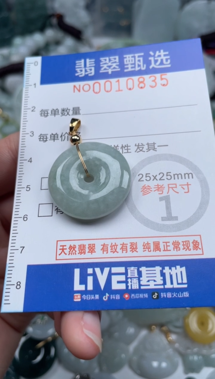 颈饰未镶嵌翡翠10831