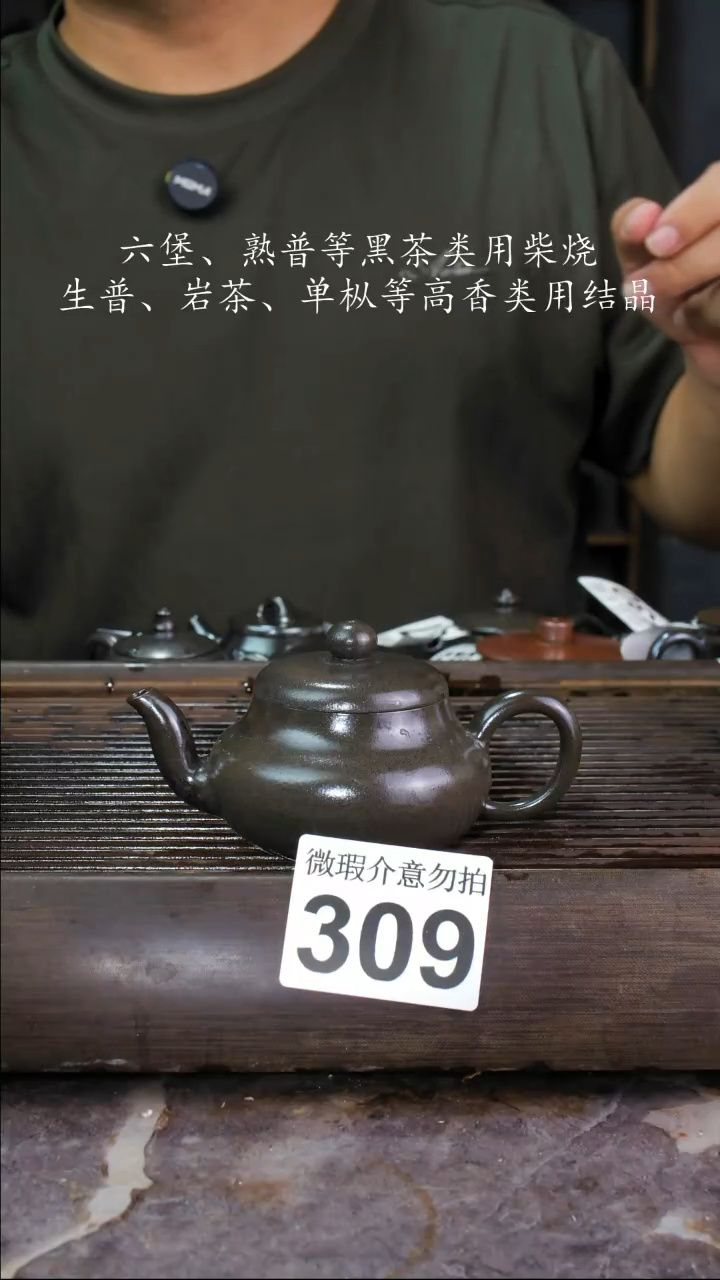 壶四大名陶钦州坭兴陶309