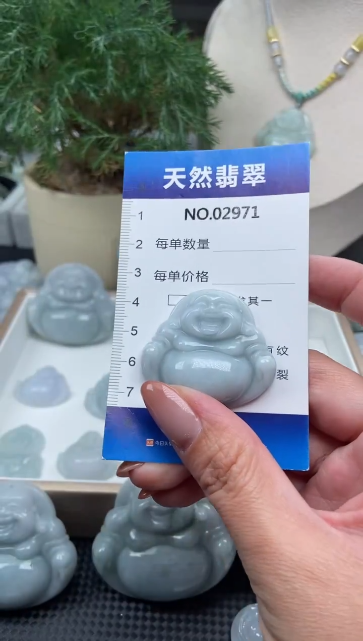 颈饰未镶嵌翡翠纯天然A货缅翡2971