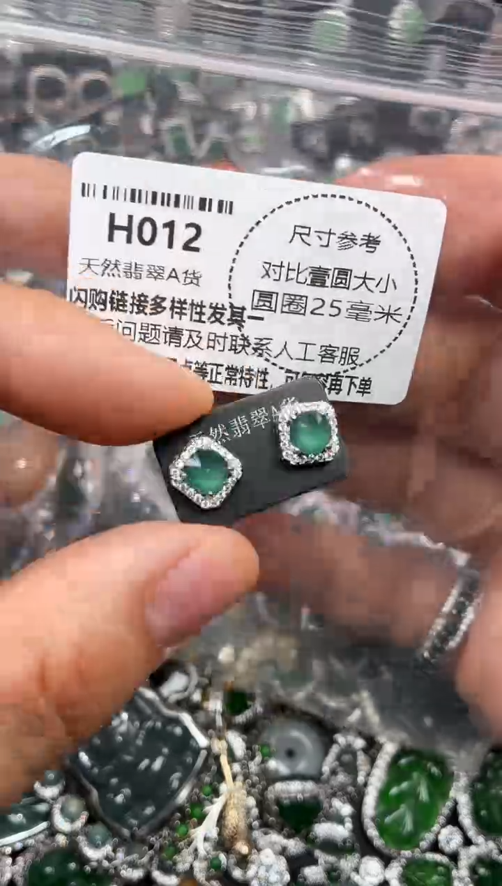 颈饰未镶嵌翡翠H012耳钉