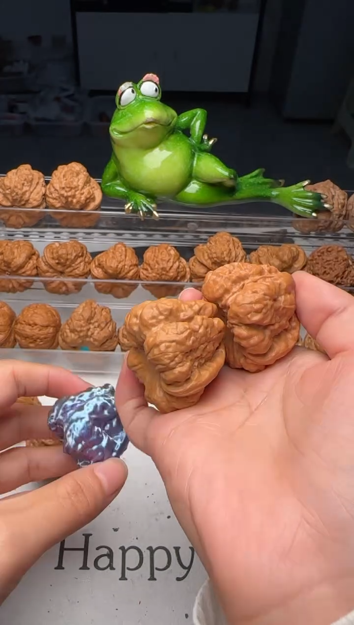 核桃龙**r编号是05