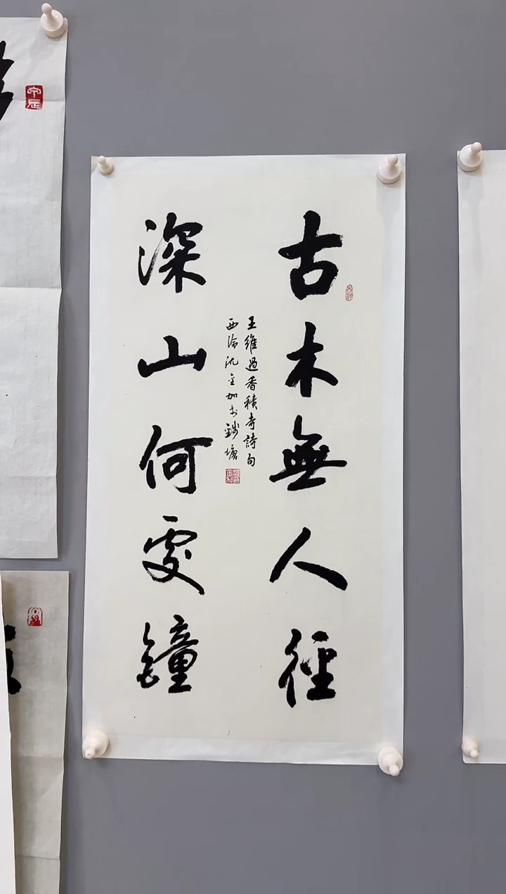 【闪购商品】书法沈金加老师书法作品