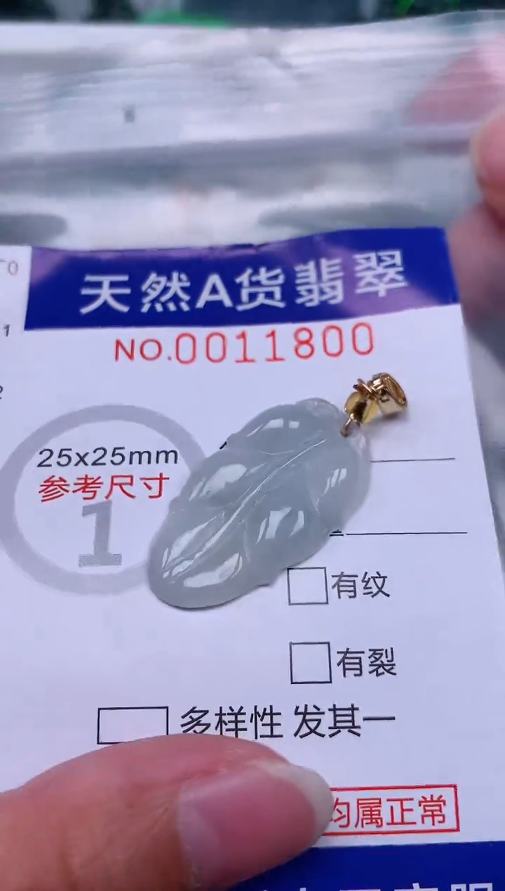 翡翠未镶嵌吊坠(赠链)1