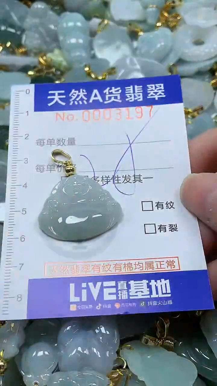 颈饰未镶嵌翡翠纯天然a货翡翠