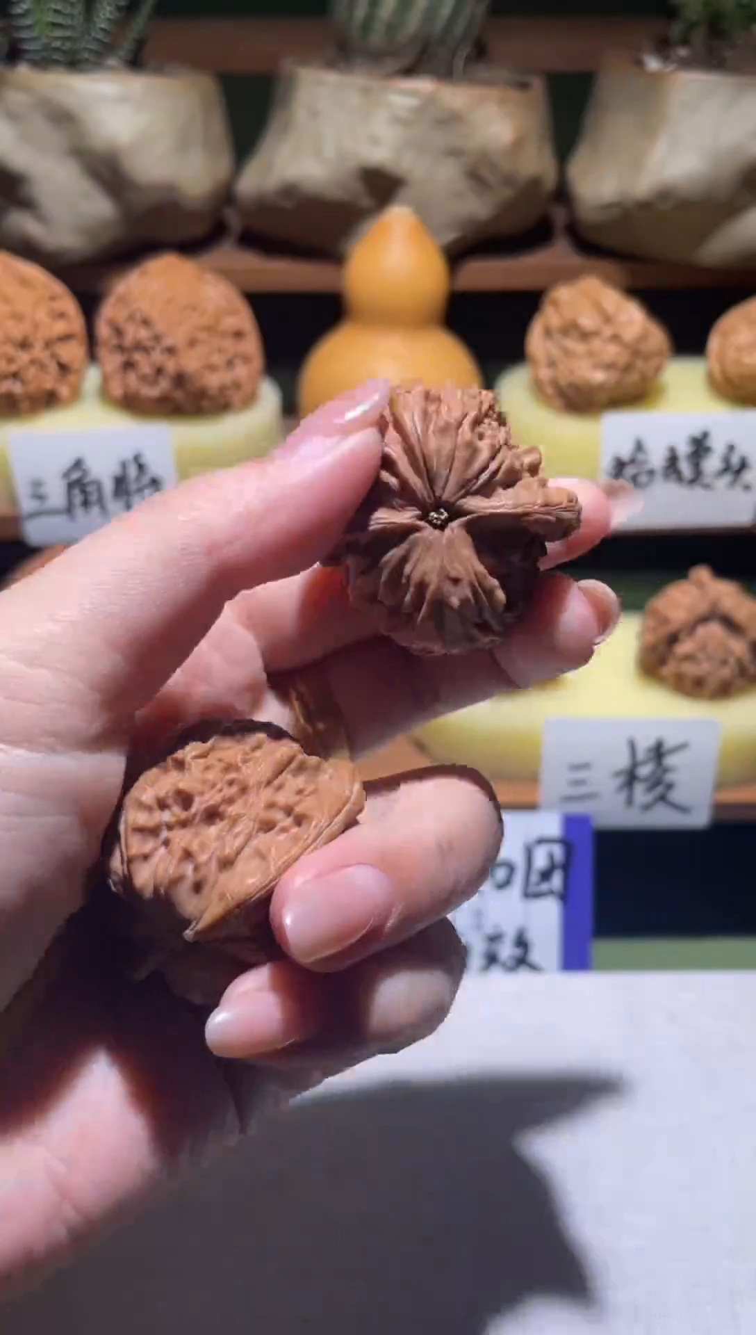 把件文玩核桃G****Z小正磨