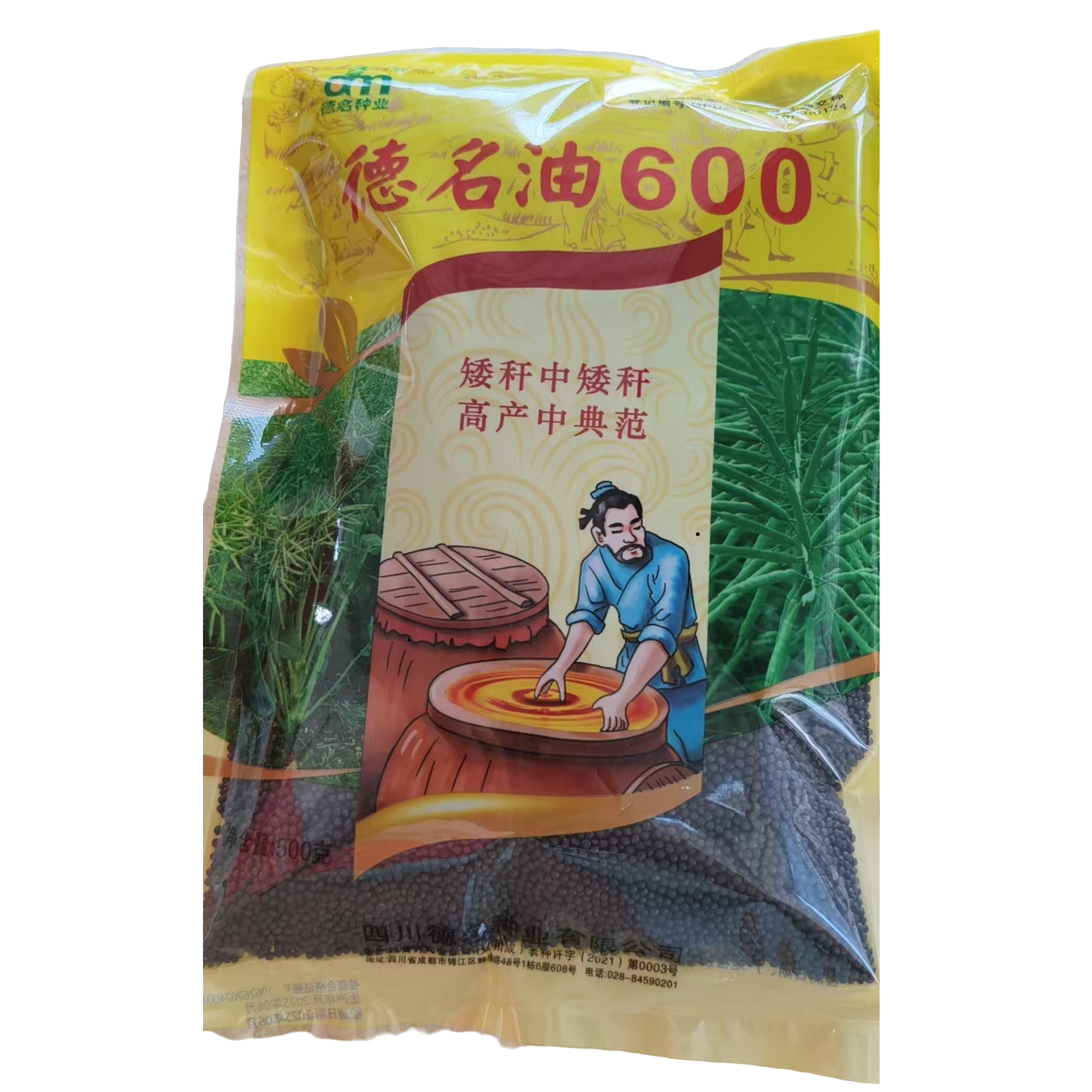 矮杆高产油菜种子耐寒抗倒伏抗病强