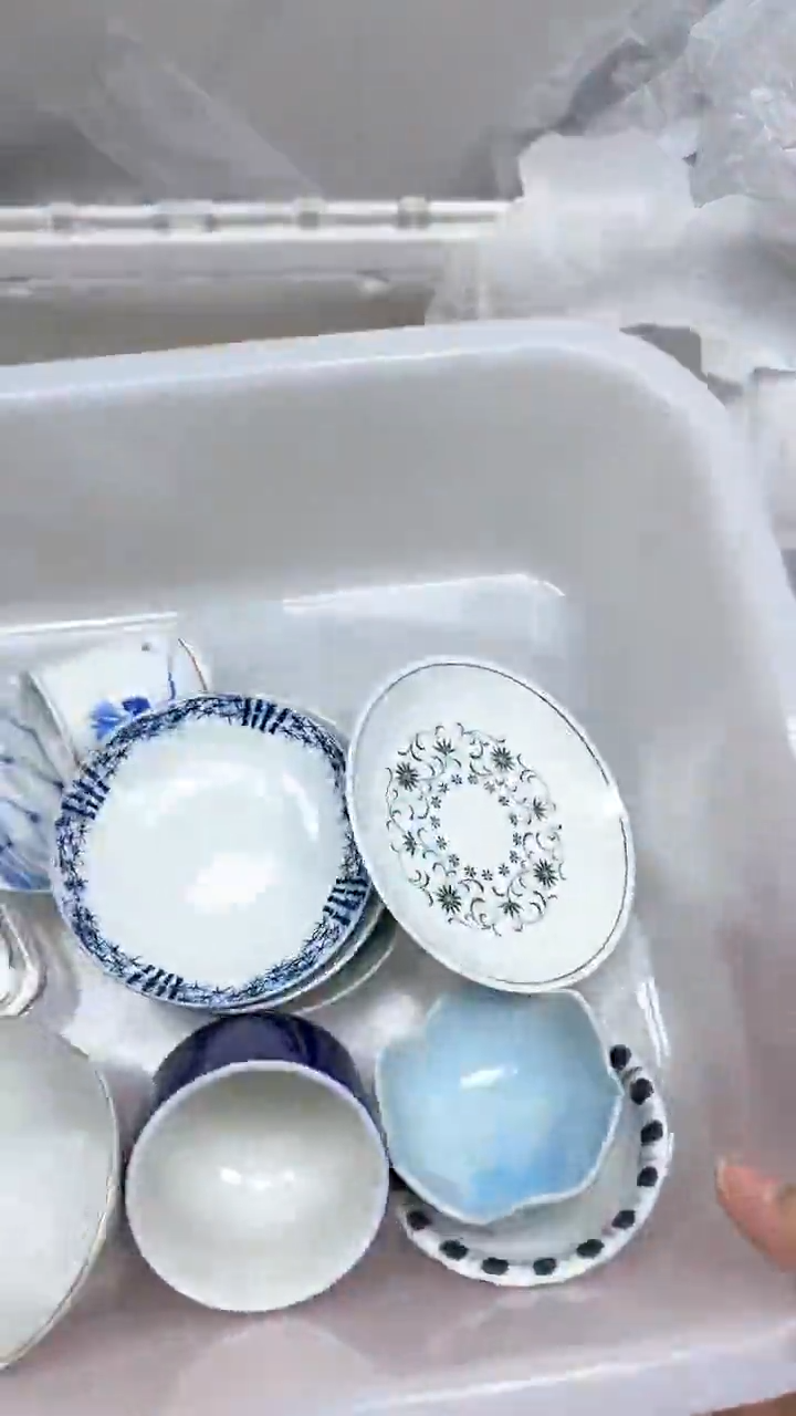 【闪购商品】253回流瓷器默认微瑕，18.8包邮