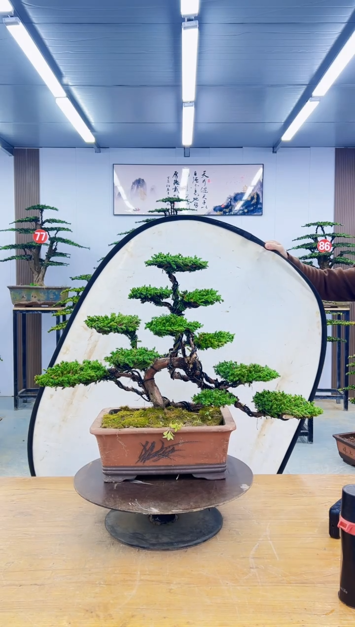 无花朵小*0000000000000000000000000000