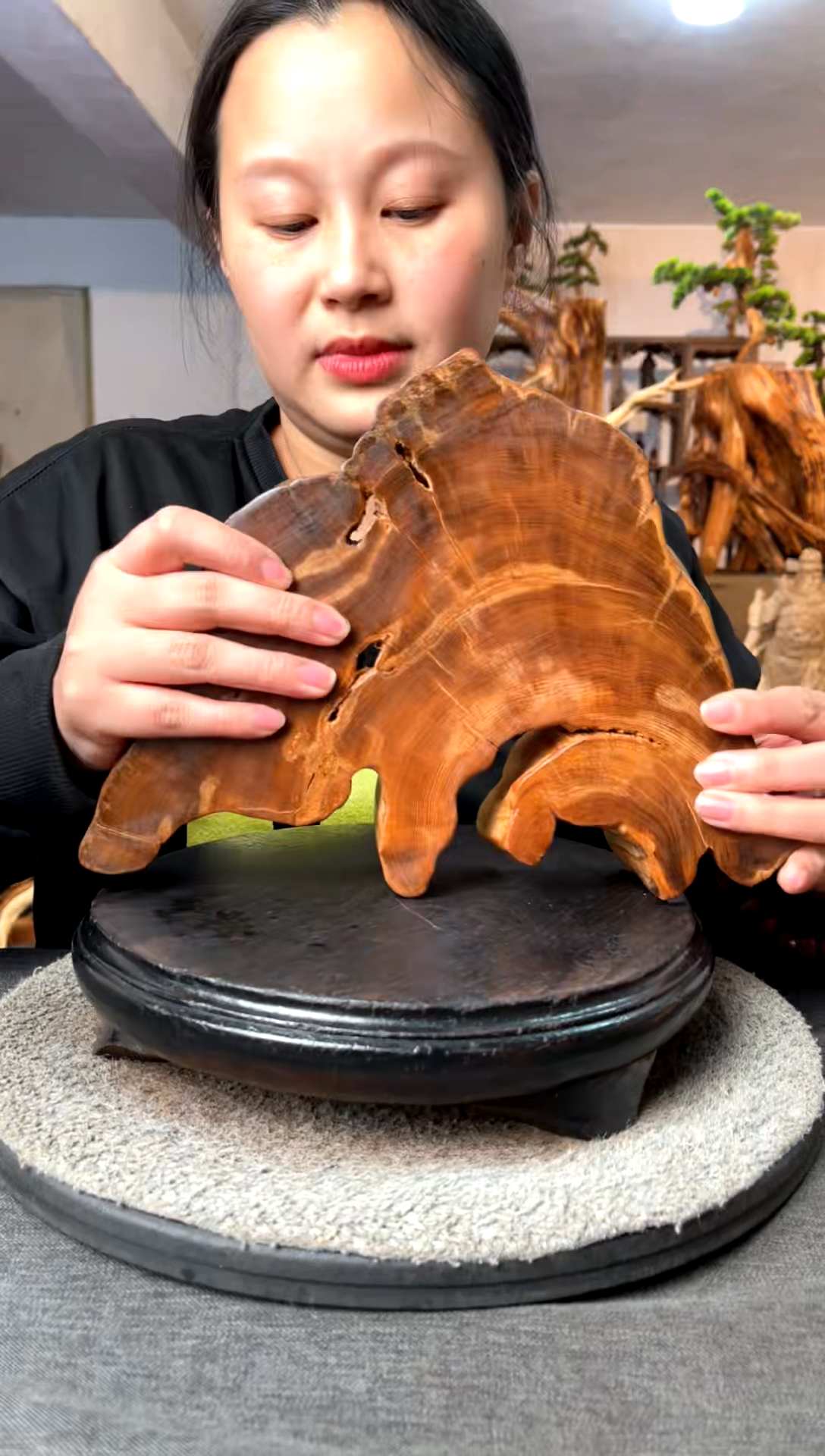 【闪购商品】柏木（崖柏）崖柏小件