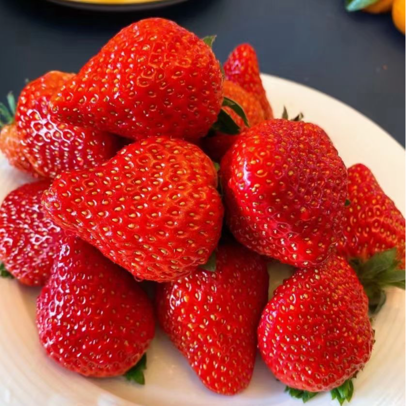 【丹东草莓】自家大棚丹东九九草莓红颜奶油草莓顺丰产地直发