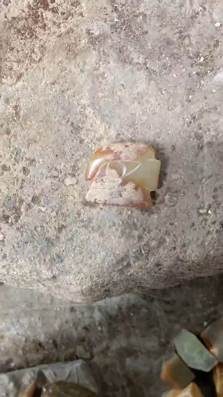 【闪购商品】瓷片手工，手绘，陶器