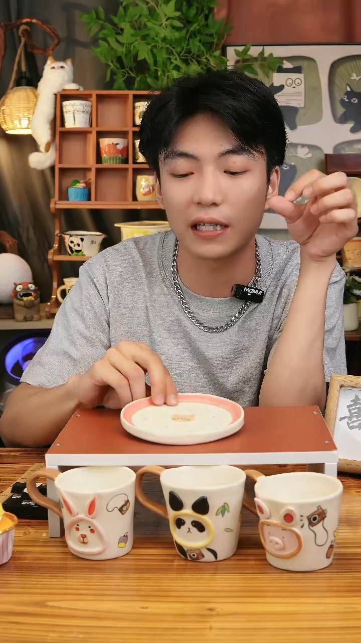 瓷片景德镇高温无铅无汞无公害陶瓷15.8