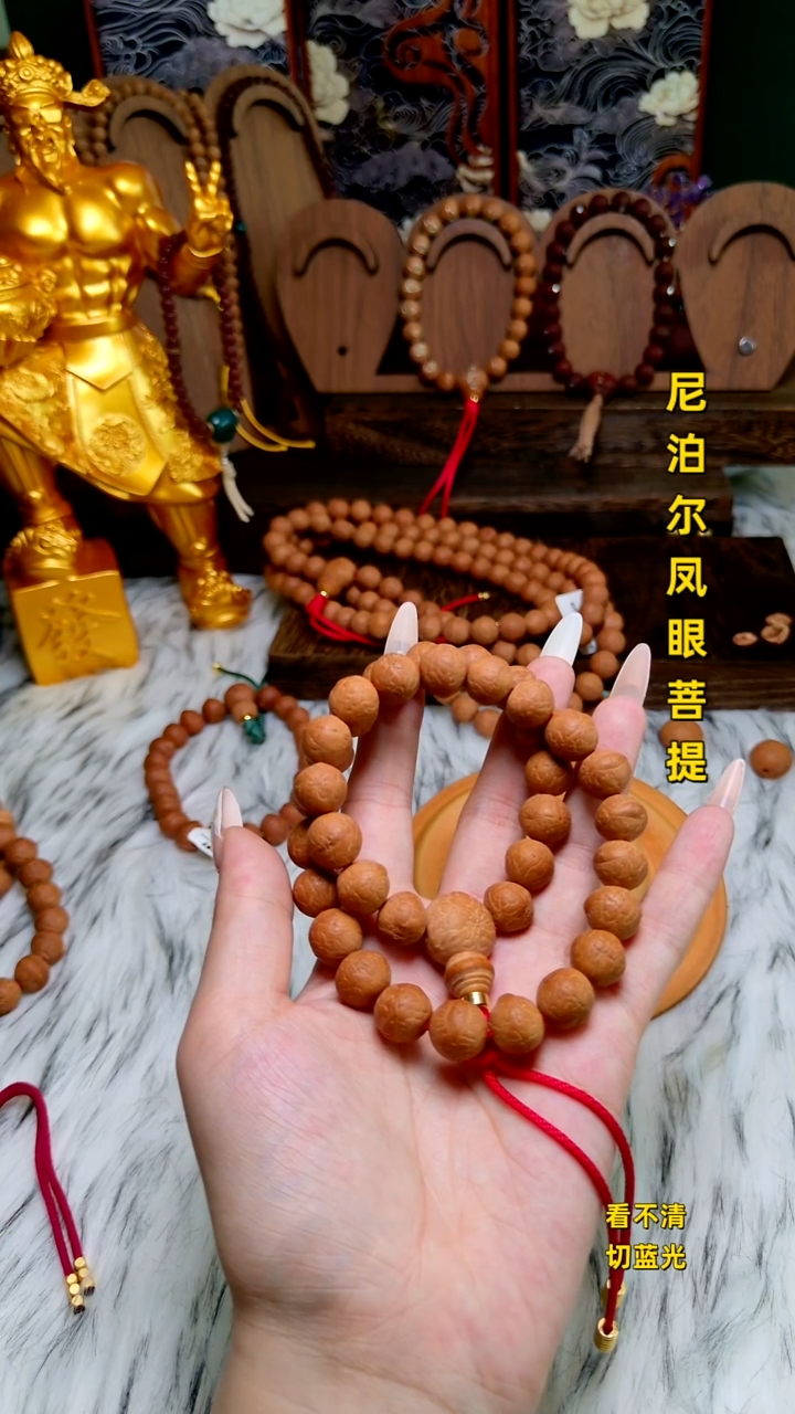 手串凤眼菩提12单仓子手持