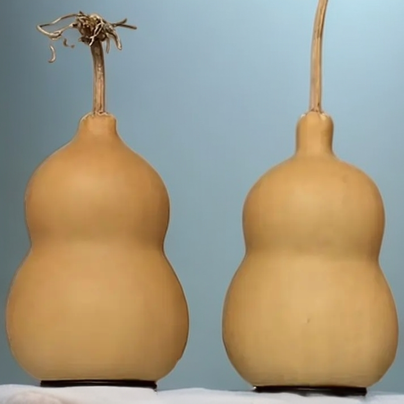 天然小葫芦文玩福禄葫芦（直播间选货 一物一拍  请勿私自下单）