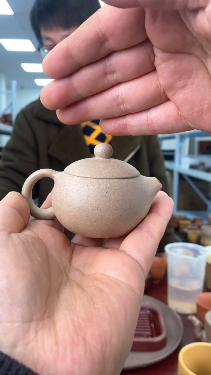 【闪购商品】紫砂茶壶【闪购商品】 紫砂 茶壶