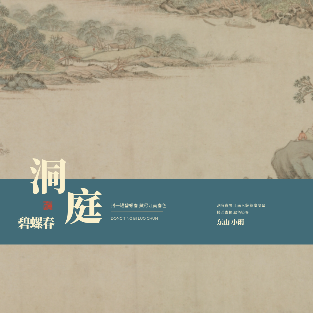 2025苏州东山洞庭碧螺春毛尖绿茶|特级明前单芽|新茶125g