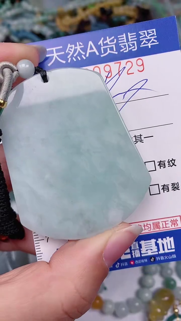 【闪购商品】翡翠颈饰未镶嵌00009729