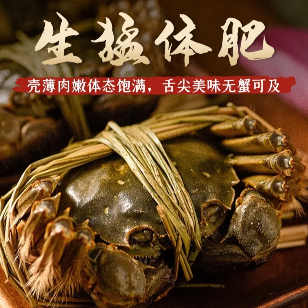 【活蟹】精挑全公蟹5.5-5.2两10只8只大闸蟹礼盒装 冷链直发