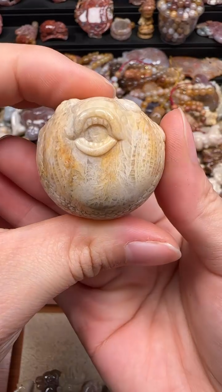 【闪购商品】硅化珊瑚（珊瑚玉）未镶嵌颈饰381