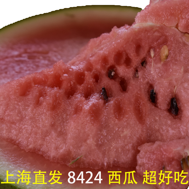 顺丰包邮正宗上海南汇8424西瓜黑子人工授粉原苗的新鲜水果当季应季西瓜整箱5斤到20斤的 一藤一瓜的上海市