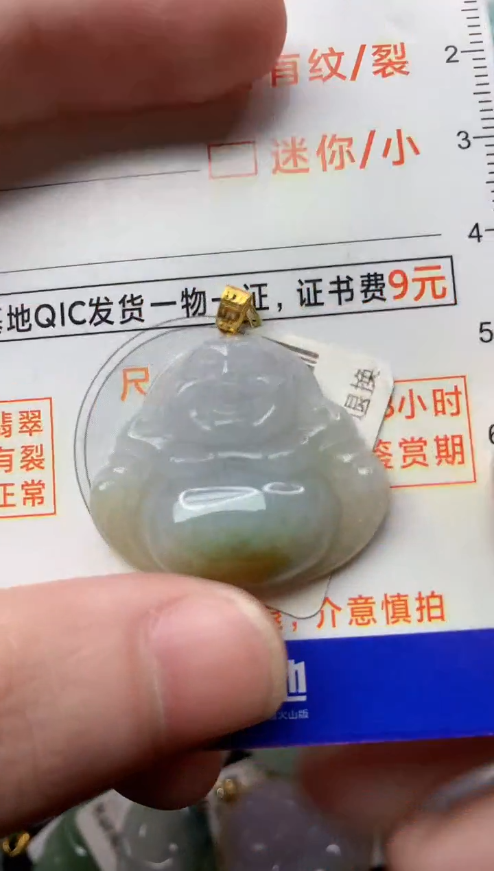 【闪购商品】翡翠颈饰18K金镶嵌2...........