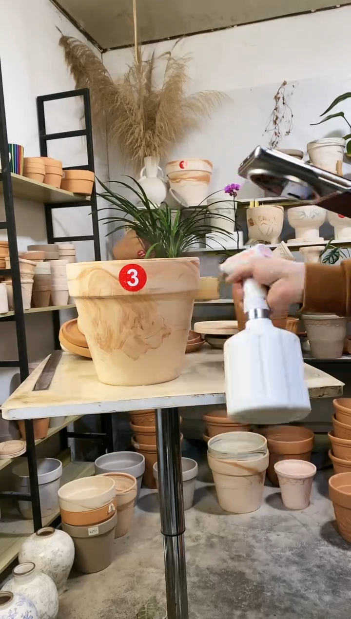 【闪购商品】红陶27*24玛奇朵 1盆无托