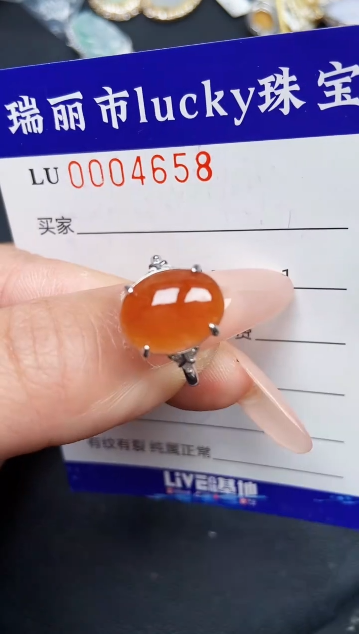 【闪购商品】翡翠颈饰银S925镶嵌4658